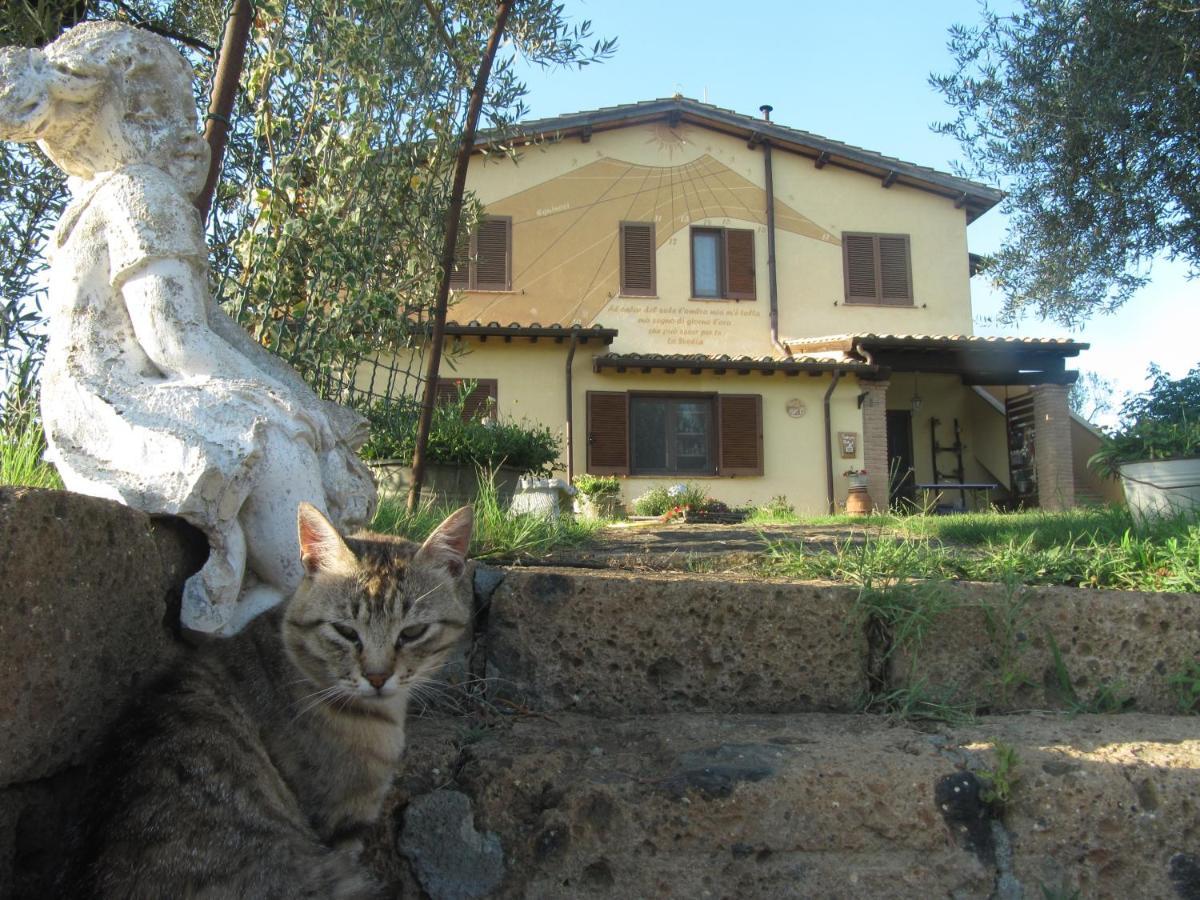 Agriturismo La Svolta Manciano Exterior photo