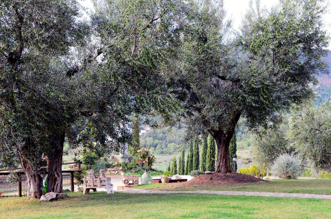 Agriturismo La Svolta Manciano Exterior photo