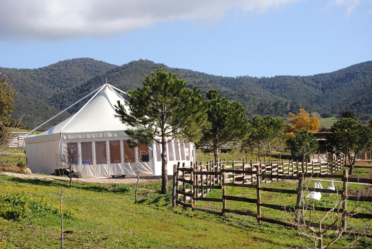 Agriturismo La Svolta Manciano Exterior photo